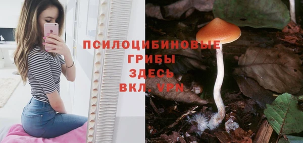 не бодяженный Заволжск